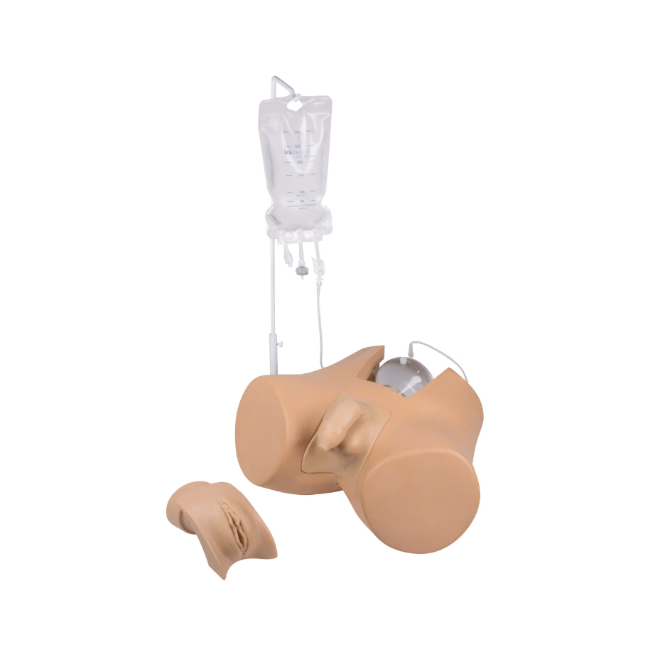 Weiblicher Einsatz für Blasenkatheterisierungs - Simulator - Erler - Zimmer